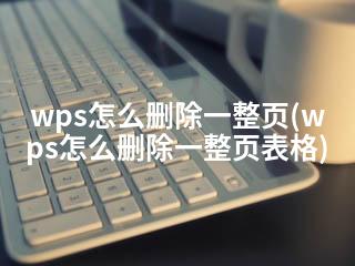 wps怎么删除一整页(wps怎么删除一整页表格)-2345资源网 - 精品建站资源与技术分享平台