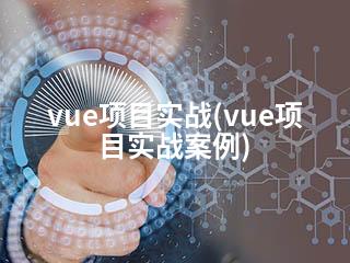 vue项目实战(vue项目实战案例)-2345资源网 - 精品建站资源与技术分享平台