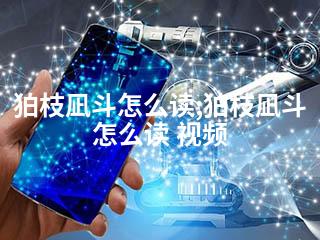 狛枝凪斗怎么读;狛枝凪斗怎么读 视频-2345资源网 - 精品建站资源与技术分享平台