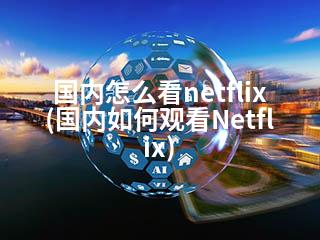 国内怎么看netflix(国内如何观看Netflix)-2345资源网 - 精品建站资源与技术分享平台