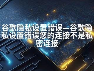 谷歌隐私设置错误—谷歌隐私设置错误您的连接不是私密连接-2345资源网 - 精品建站资源与技术分享平台