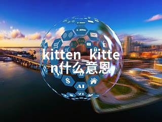kitten_kitten什么意恩-2345资源网 - 精品建站资源与技术分享平台