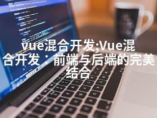 vue混合开发;Vue混合开发：前端与后端的完美结合-2345资源网 - 精品建站资源与技术分享平台