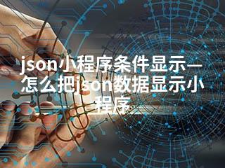 json小程序条件显示—怎么把json数据显示小程序-2345资源网 - 精品建站资源与技术分享平台