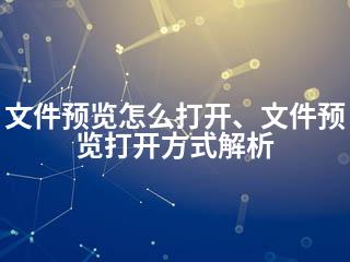 文件预览怎么打开、文件预览打开方式解析-2345资源网 - 精品建站资源与技术分享平台