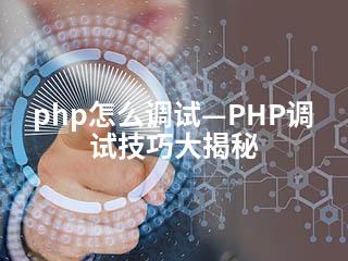 php怎么调试—PHP调试技巧大揭秘-2345资源网 - 精品建站资源与技术分享平台