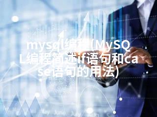mysql编程(MySQL编程简述if语句和case语句的用法)-2345资源网 - 精品建站资源与技术分享平台