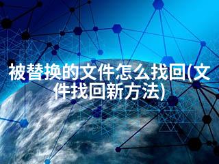 被替换的文件怎么找回(文件找回新方法)-2345资源网 - 精品建站资源与技术分享平台