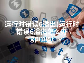 运行时错误6溢出(运行时错误6溢出怎么办 gpmis)-2345资源网 - 精品建站资源与技术分享平台