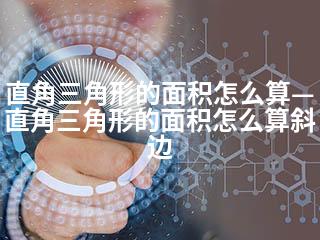 直角三角形的面积怎么算—直角三角形的面积怎么算斜边-2345资源网 - 精品建站资源与技术分享平台