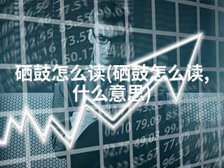 硒鼓怎么读(硒鼓怎么读,什么意思)-2345资源网 - 精品建站资源与技术分享平台