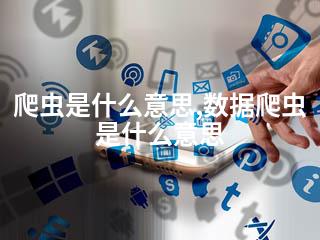 爬虫是什么意思,数据爬虫是什么意思-2345资源网 - 精品建站资源与技术分享平台