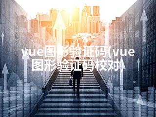 vue图形验证码(vue图形验证码校对)-2345资源网 - 精品建站资源与技术分享平台