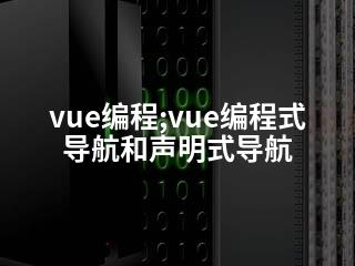 vue编程;vue编程式导航和声明式导航-2345资源网 - 精品建站资源与技术分享平台