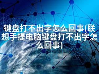 键盘打不出字怎么回事(联想手提电脑键盘打不出字怎么回事)-2345资源网 - 精品建站资源与技术分享平台