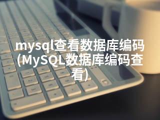 mysql查看数据库编码(MySQL数据库编码查看)-2345资源网 - 精品建站资源与技术分享平台
