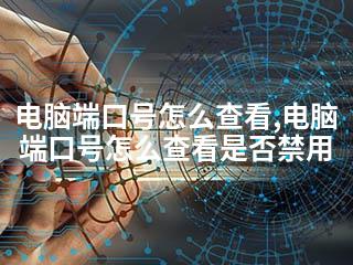 电脑端口号怎么查看,电脑端口号怎么查看是否禁用-2345资源网 - 精品建站资源与技术分享平台