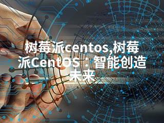 树莓派centos,树莓派CentOS：智能创造未来-2345资源网 - 精品建站资源与技术分享平台