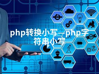 php转换小写—php字符串小写-2345资源网 - 精品建站资源与技术分享平台