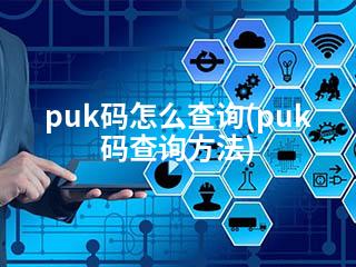 puk码怎么查询(puk码查询方法)-2345资源网 - 精品建站资源与技术分享平台