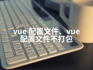 vue 配置文件、vue 配置文件不打包-2345资源网 - 精品建站资源与技术分享平台