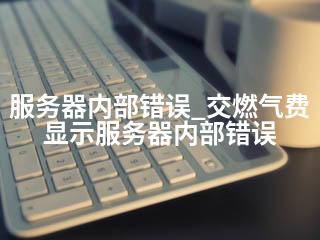 服务器内部错误_交燃气费显示服务器内部错误-2345资源网 - 精品建站资源与技术分享平台