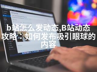 b站怎么发动态,B站动态攻略：如何发布吸引眼球的内容-2345资源网 - 精品建站资源与技术分享平台
