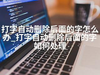 打字自动删除后面的字怎么办_打字自动删除后面的字如何处理-2345资源网 - 精品建站资源与技术分享平台