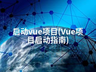 启动vue项目(Vue项目启动指南)-2345资源网 - 精品建站资源与技术分享平台