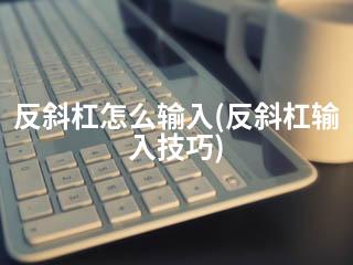 反斜杠怎么输入(反斜杠输入技巧)-2345资源网 - 精品建站资源与技术分享平台