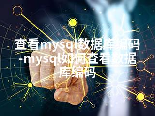 查看mysql数据库编码-mysql如何查看数据库编码-2345资源网 - 精品建站资源与技术分享平台