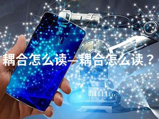 耦合怎么读—耦合怎么读？-2345资源网 - 精品建站资源与技术分享平台