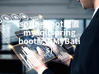 springboot配置mysql(springboot配置MyBatis)-2345资源网 - 精品建站资源与技术分享平台