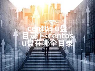 centos u盘 目录下-centos u盘在哪个目录-2345资源网 - 精品建站资源与技术分享平台