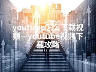 youtube怎么下载视频—youtube视频下载攻略-2345资源网 - 精品建站资源与技术分享平台