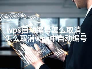 wps自动编号怎么取消_怎么取消wps中自动编号-2345资源网 - 精品建站资源与技术分享平台