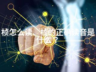 桢怎么读、桢的正确读音是什么？-2345资源网 - 精品建站资源与技术分享平台