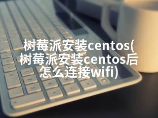 树莓派安装centos(树莓派安装centos后怎么连接wifi)-2345资源网 - 精品建站资源与技术分享平台
