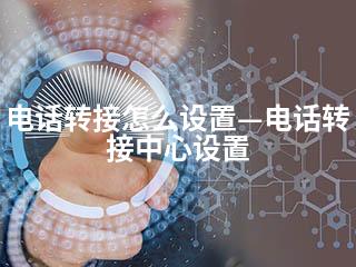 电话转接怎么设置—电话转接中心设置-2345资源网 - 精品建站资源与技术分享平台