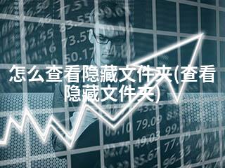 怎么查看隐藏文件夹(查看隐藏文件夹)-2345资源网 - 精品建站资源与技术分享平台