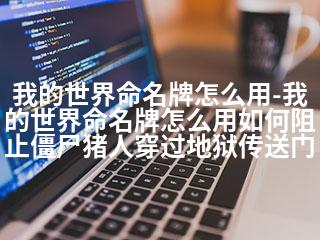 我的世界命名牌怎么用-我的世界命名牌怎么用如何阻止僵尸猪人穿过地狱传送门-2345资源网 - 精品建站资源与技术分享平台
