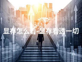 显存怎么看-显存看透一切-2345资源网 - 精品建站资源与技术分享平台