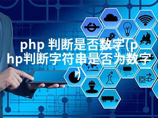 php 判断是否数字(php判断字符串是否为数字)-2345资源网 - 精品建站资源与技术分享平台