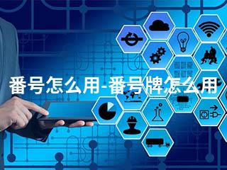 番号怎么用-番号牌怎么用-2345资源网 - 精品建站资源与技术分享平台