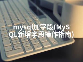mysql加字段(MySQL新增字段操作指南)-2345资源网 - 精品建站资源与技术分享平台