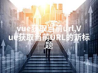 vue获取当前url,Vue获取当前URL的新标题-2345资源网 - 精品建站资源与技术分享平台