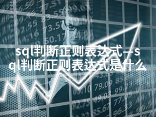 sql判断正则表达式—sql判断正则表达式是什么-2345资源网 - 精品建站资源与技术分享平台