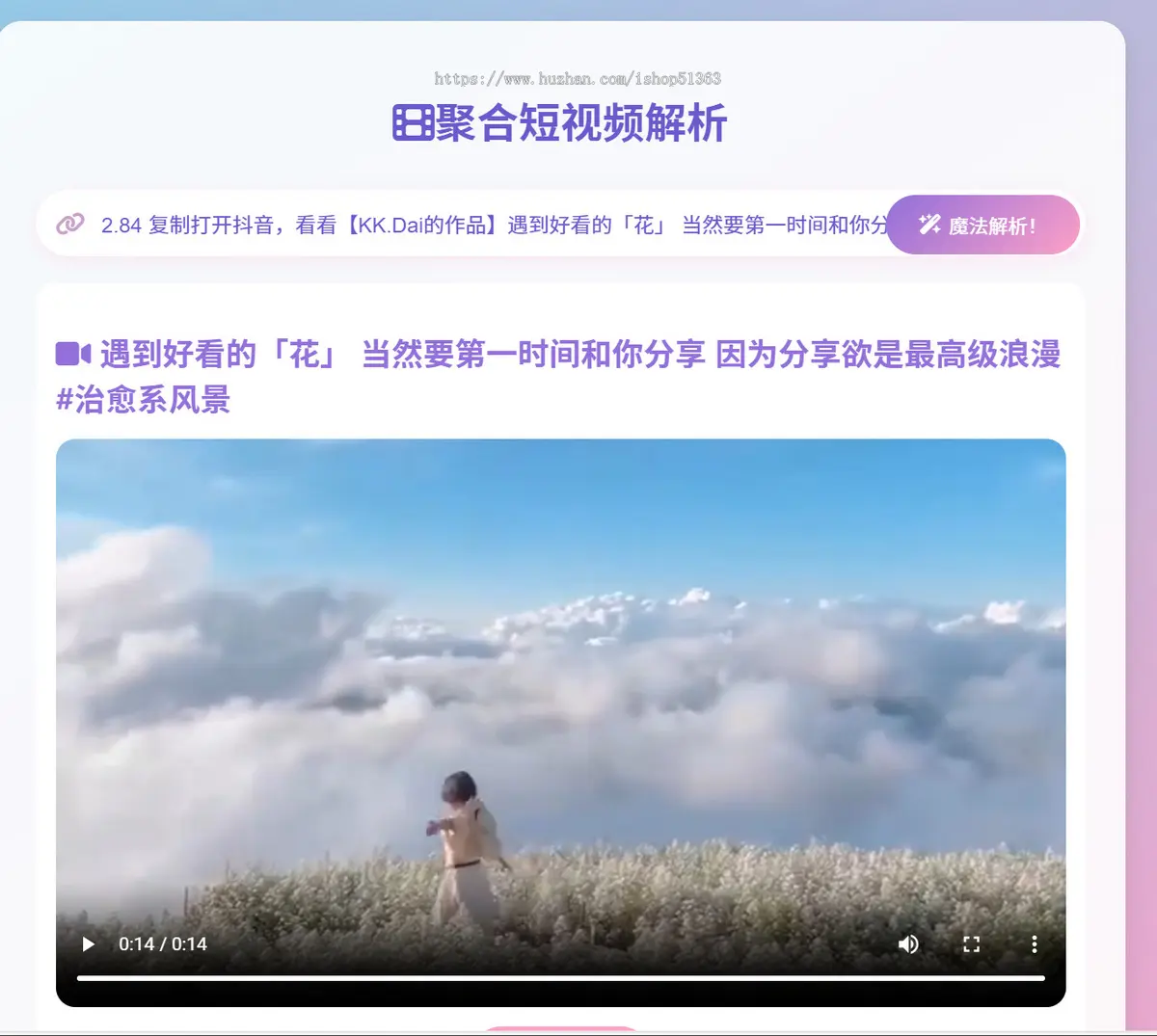 【包搭建】抖音/快手/小红书等视频解析，视频去水印，下载视频系统源码 /