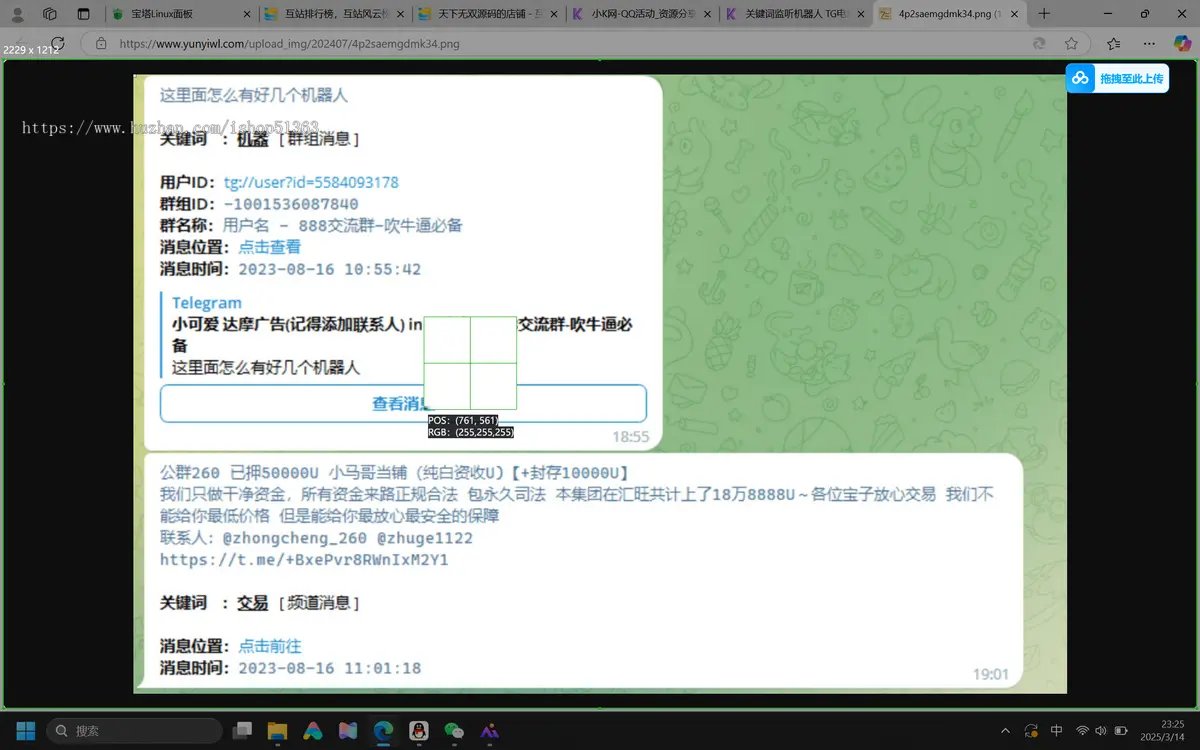 TG关键词监听，自动私聊消息/监听机器人源码（普号）关键词监控/支持人工实时监听
